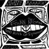 Fionn Regan : 100 Acres of Sycamore